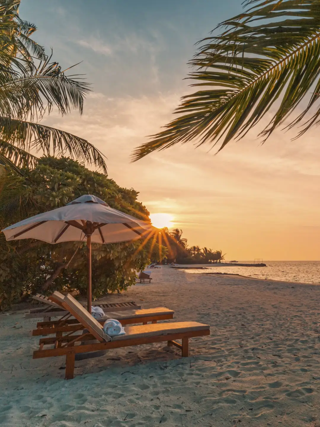 Kampanya Sayfası Active