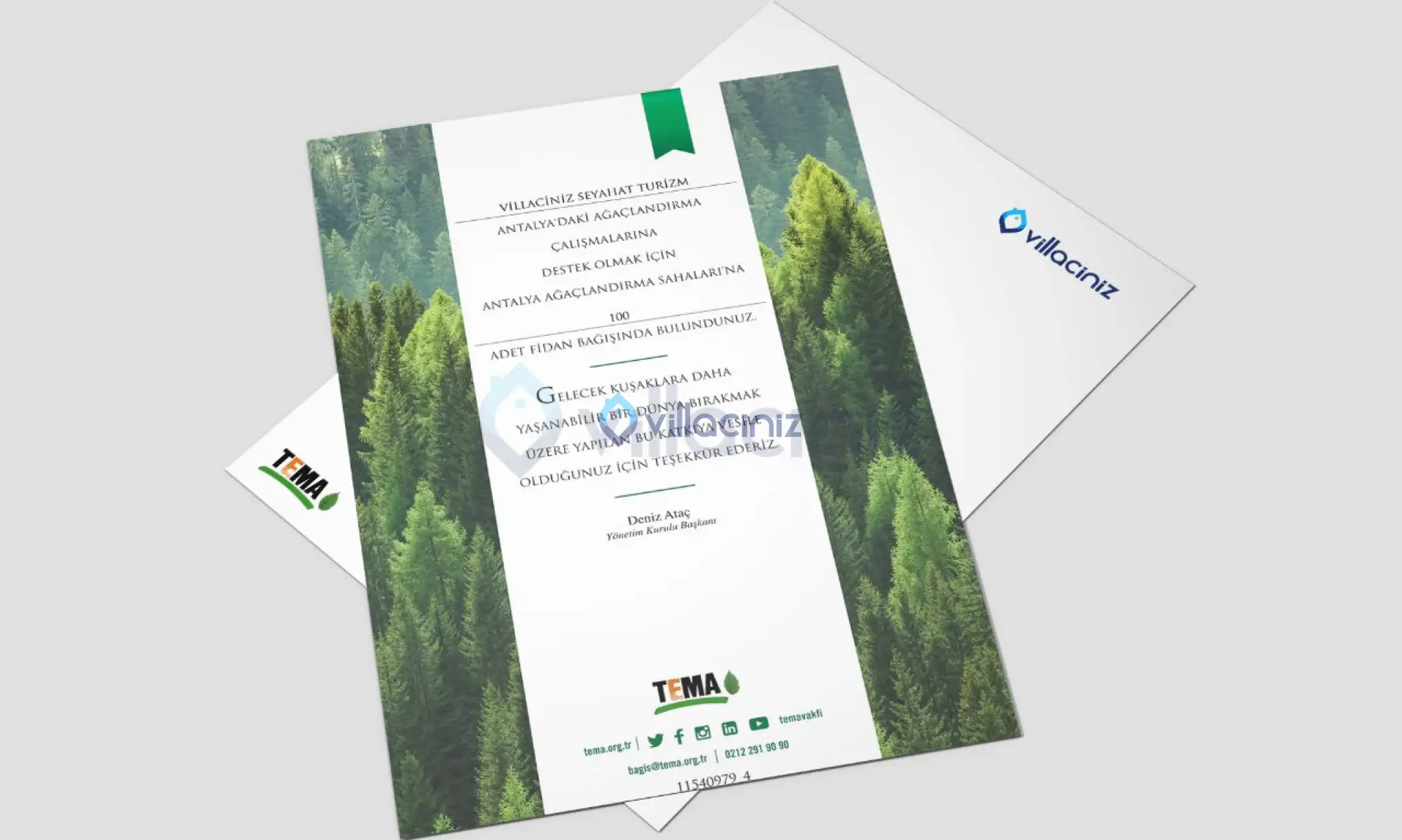 Orman Yangınları ve Ekosisteme Etkisi