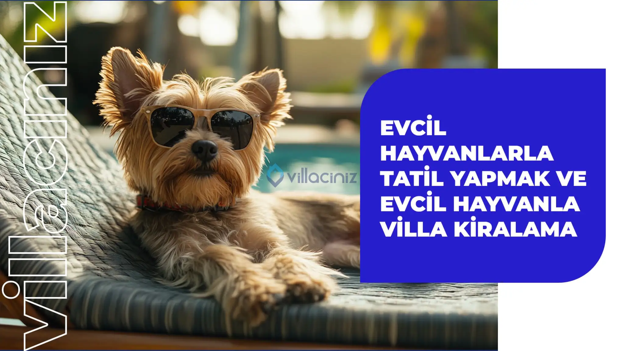 Evcil Hayvanla Tatil Yapmak & Evcil Hayvanla Villa Kiralama