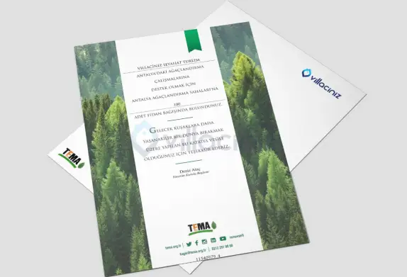 Orman Yangınları ve Ekosisteme Etkisi