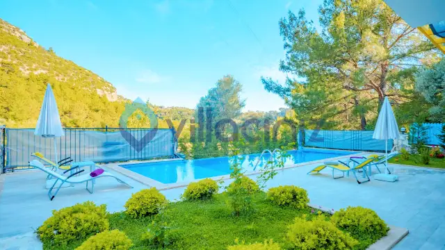 Villa Sukulent