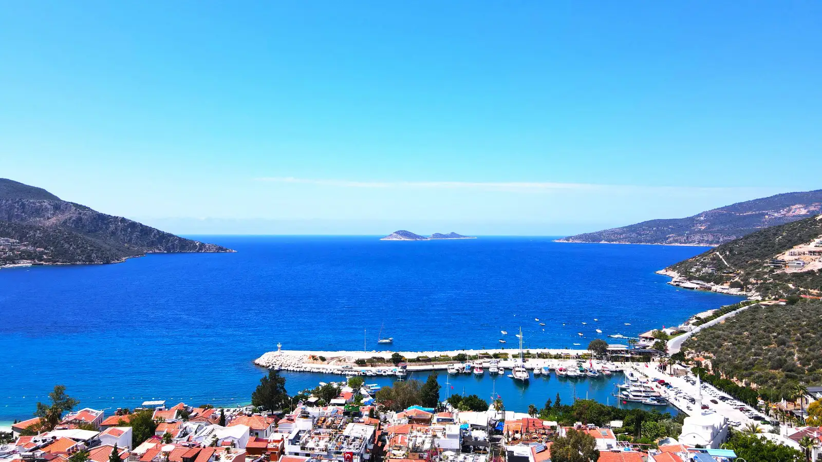 view-image