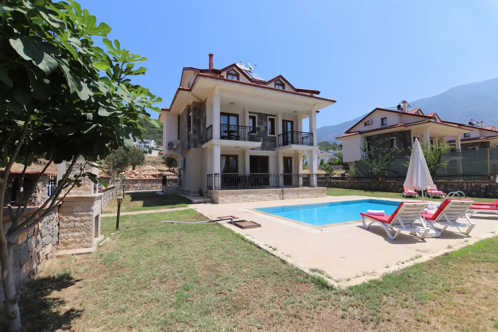 view-image