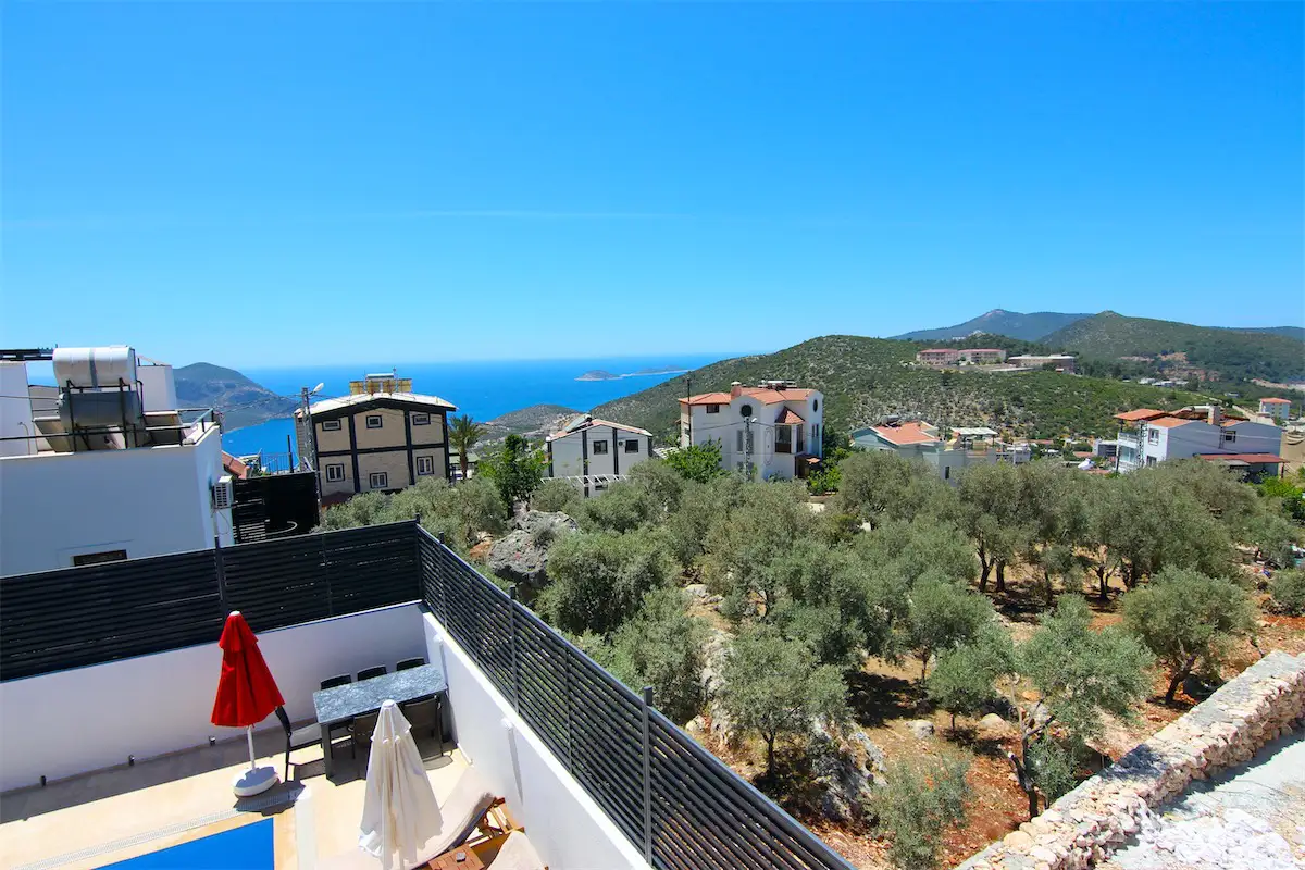 view-image