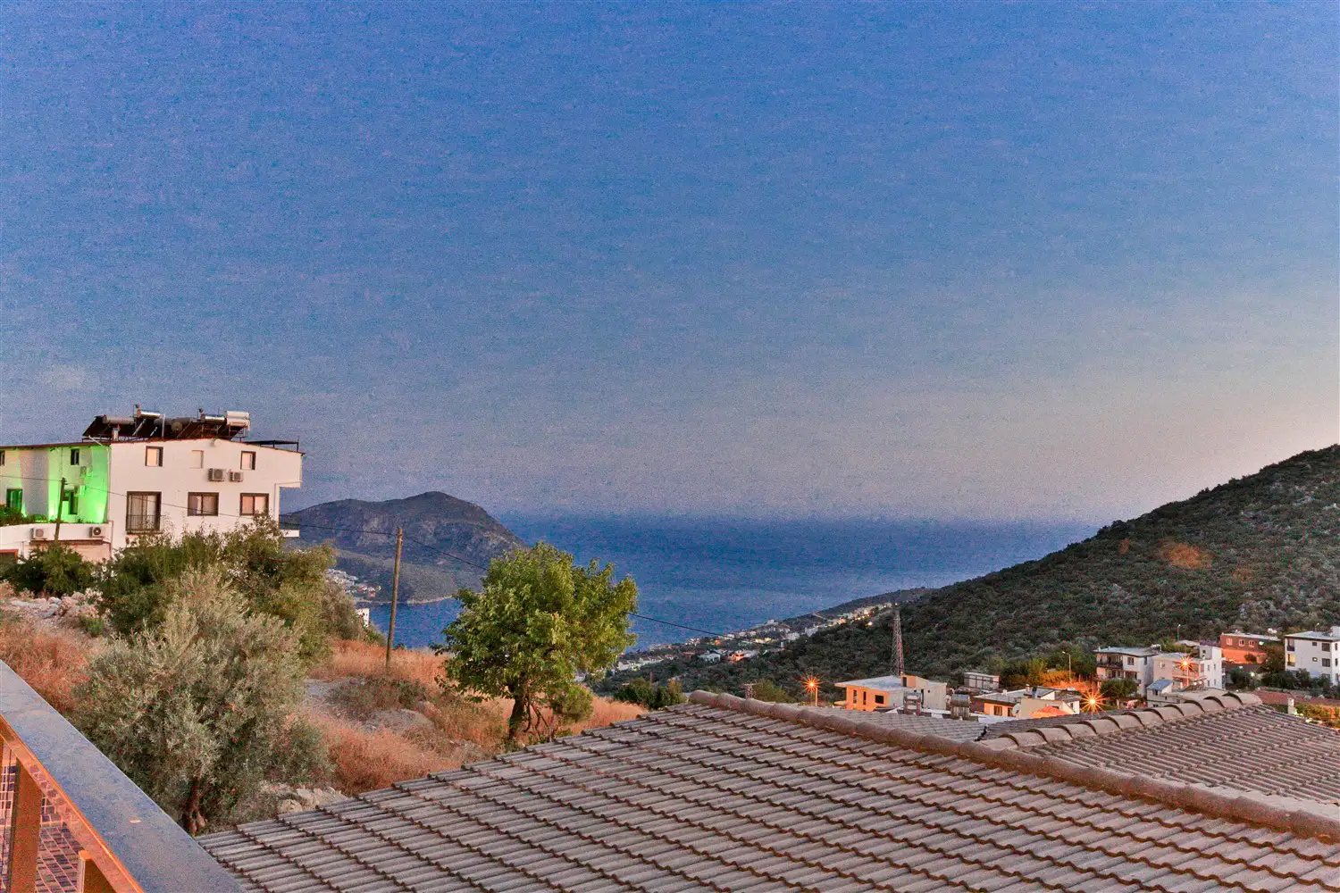 view-image