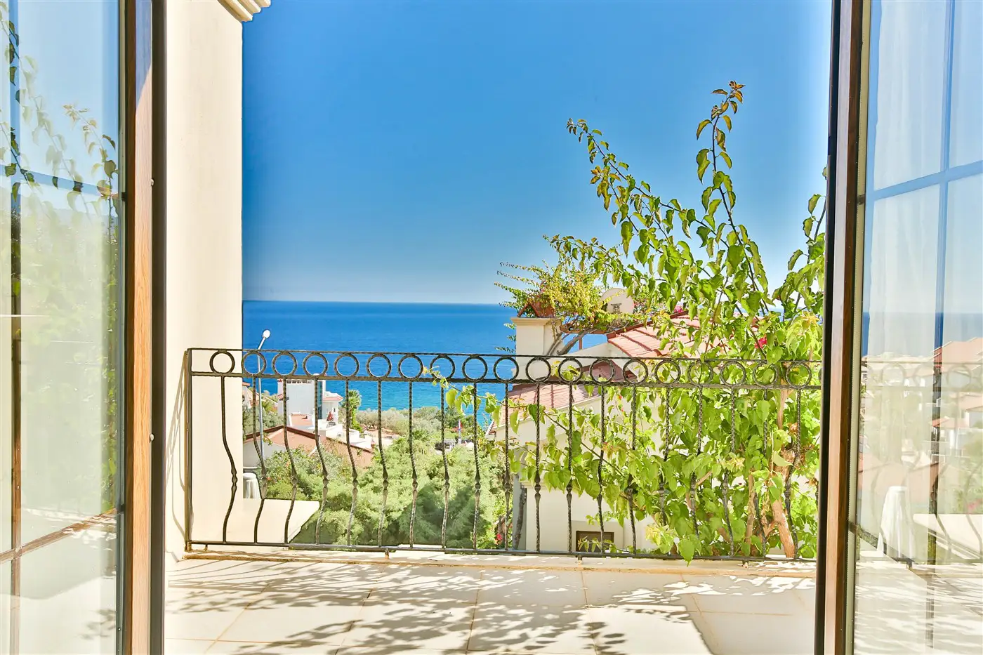 view-image